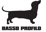 Logo Basso Profilo